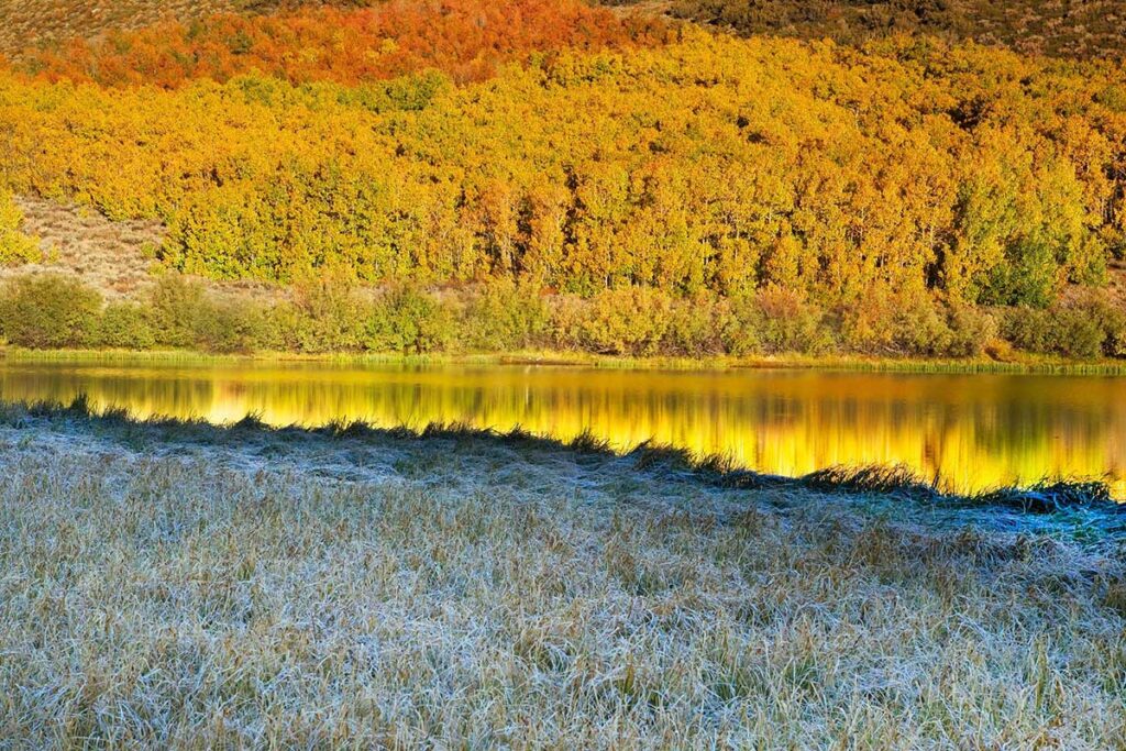 Frozen meadow North Lake